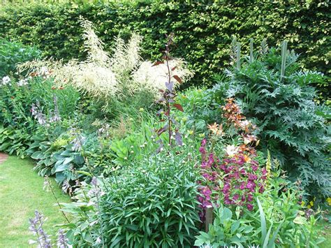 Herbaceous Borders - RADLETT HORTICULTURAL SOCIETY