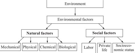 Main Environmental Factors Influencing Human Health | Download ...