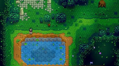 Stardew Valley Secret Woods: 6 Interesting Things To Do