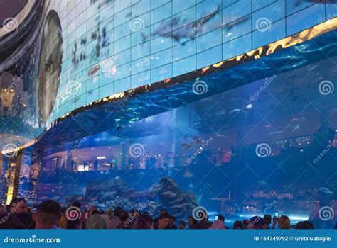 Dubai Aquarium and Underwater Zoo Inside the Dubai Mall Editorial ...