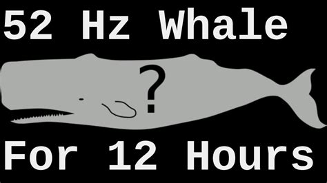 52 hz Whale Song Actual Speed ( World's Loneliest Whale for 12 Hours ) - YouTube