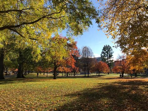 We asked for the best pictures of fall foliage. Here are our favorites.