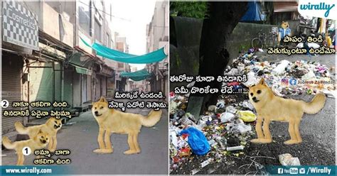 These Heartbreaking Memes About The 'Struggle Of A Street Dog' By 'Jobless Zamindar' Will Make ...