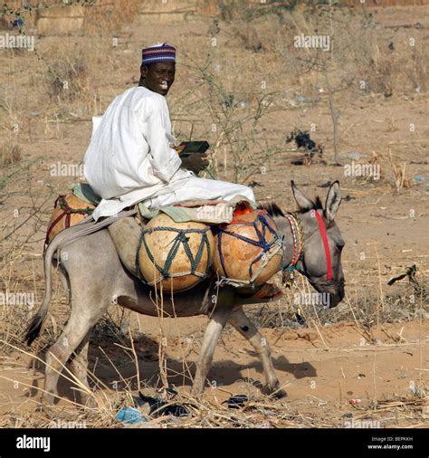 Black man riding donkey equus hi-res stock photography and images - Alamy