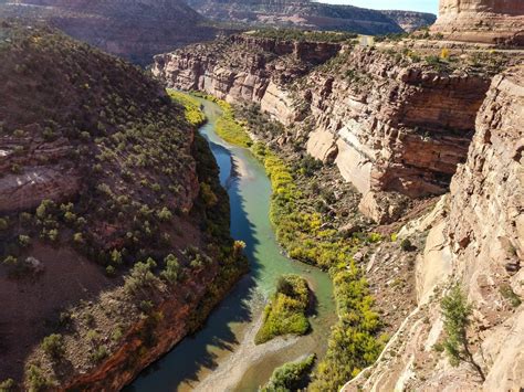 Dolores River – near Dolores, CO | San Juan National Forest