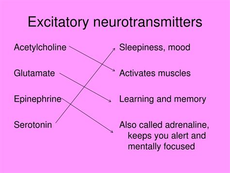 PPT - Neurotransmitters PowerPoint Presentation, free download - ID:9680325