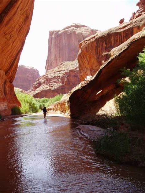 Escalante Utah, hiking down Coyote Gulch photo - Brian Dickson photos at pbase.com