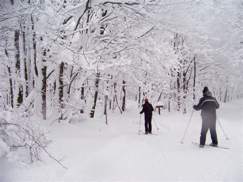 Cool Winter Activities for Non-Skiers