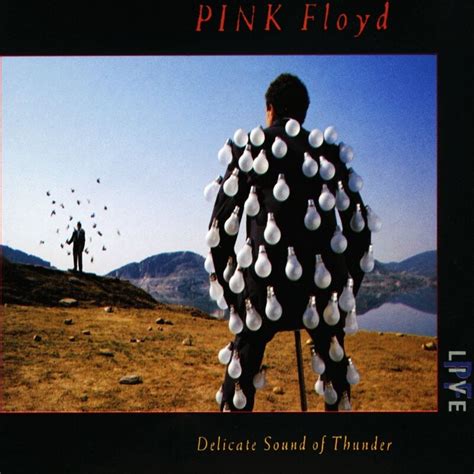 Pink Floyd - Delicate Sound Of Thunder Vinyl Lp → Køb LP'en billigt her - Gucca.dk