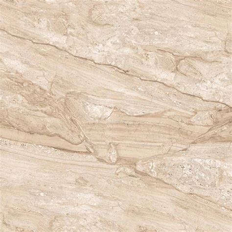 Glossy Cera Floor Tile, 800 mm x 800 mm, Thickness: 8 mm, Rs 20 /square feet | ID: 22943897862