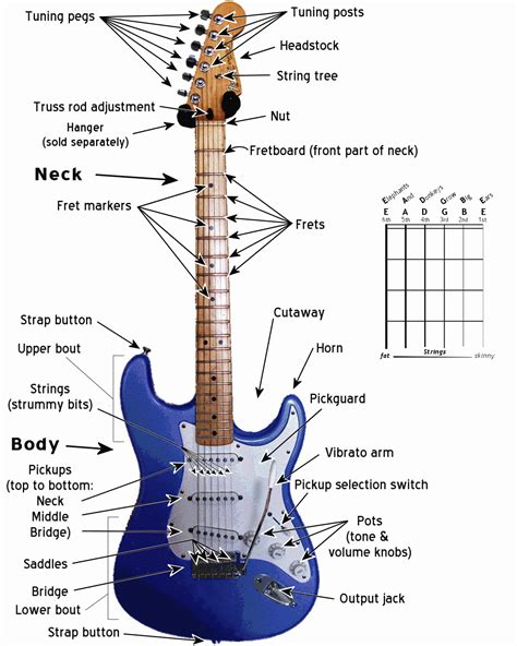 Stratocaster Guitar Parts Names