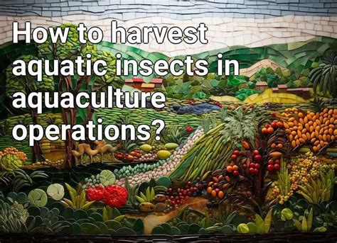 How to harvest aquatic insects in aquaculture operations? – Agriculture ...