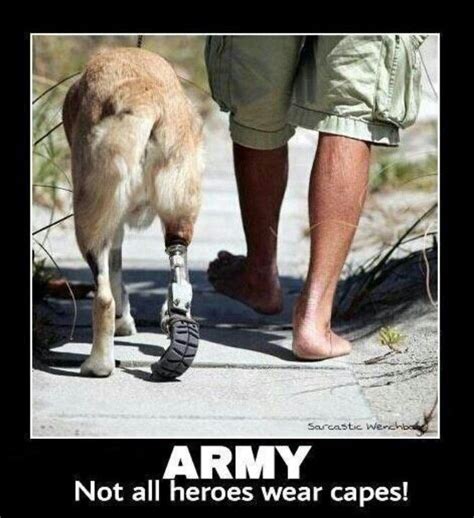 War Hero Quote 2. Picture Quotes. | Military dogs, Dogs, War dogs