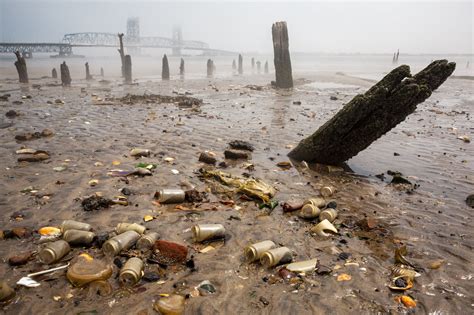 Petition launches to save artifacts of Dead Horse Bay ahead of ...