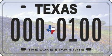 Cast your vote for one of five Texas license plate designs