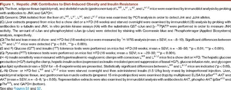 Figure 1 from The PPARα-FGF21 hormone axis contributes to metabolic regulation by the hepatic ...