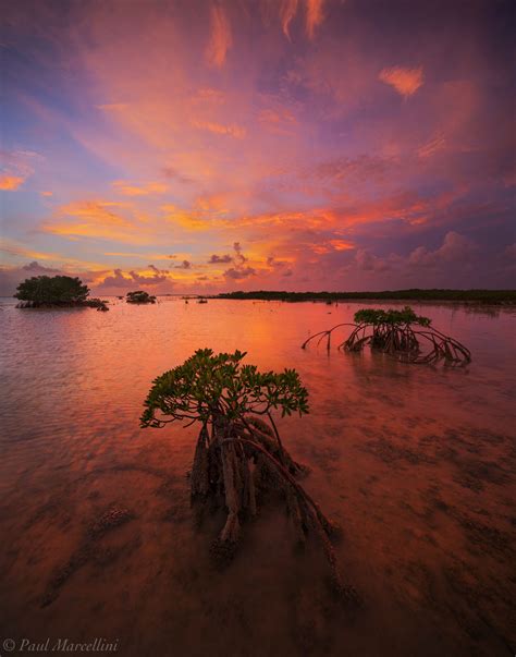 Sugarloaf Sunset | Sugarloaf Key, National Key Deer Refuge, Florida Keys, FL | Florida Landscape ...