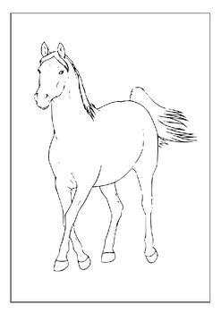 Get Creative with Our Printable Horse Breeds Coloring Pages Collection ...