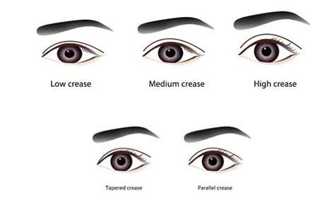 Eye Shape Names, Types Of Eye Shapes Names, Attractive 21 Types | lupon.gov.ph