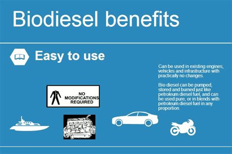 All about Palm Oil: Biodiesel Production