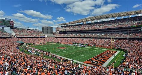 Cincinnati Bengals I Connecting Fans I Tailgate Connect