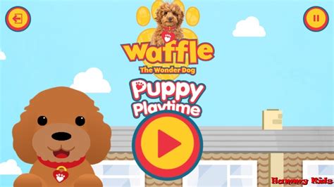 Waffle The Wonder Dog Puppy Playtime Gameplay for Kids - YouTube