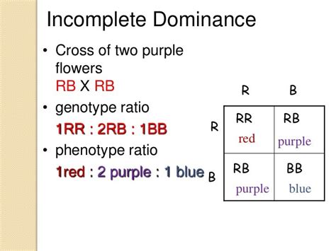 Incomplete dominance