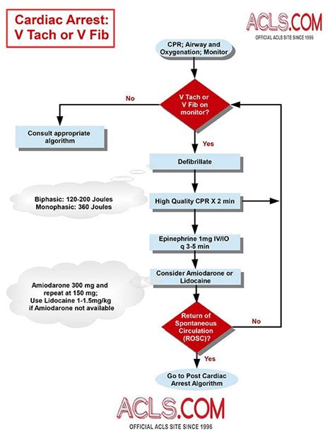 V Tach or V Fib Nursing Iv, Lidocaine, Pa C, Acls, Cardiac, Follow Me ...