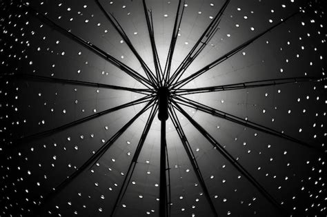 Premium AI Image | Black and white umbrella in the rain