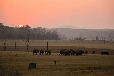 Nagarhole National Park and Tiger Reserve: A Complete Guide