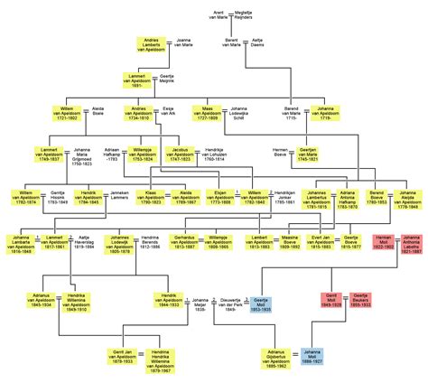 Consanguineous Marriage in Heerde – boldts.net