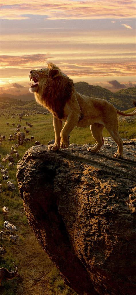 the lion king movie 10k iPhone 12 Wallpapers Free Download