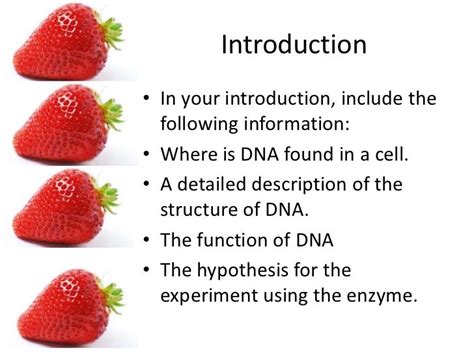 Strawberry DNA lab report