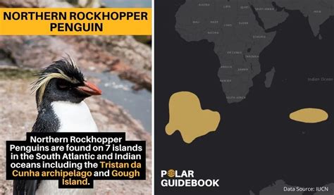 Rockhopper Penguin Habitat Map