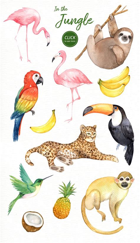 In the Jungle Watercolor Clipart | Tropical illustration, Jungle animal art, Tropical animals