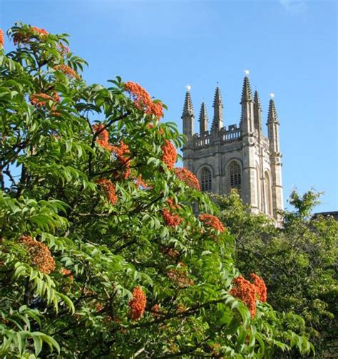 Oxford Botanic Garden