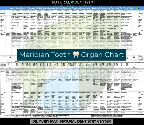 Teeth To Organ Chart - chartdevelopment