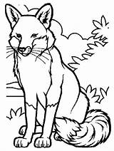 Fox Face Coloring Page sketch template
