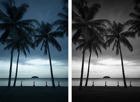 Using Tonal Contrast for Better BW Photography