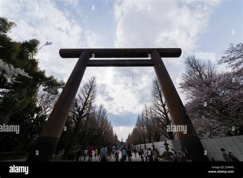 Cherry Blossom, Yasukuni Shrine, Chiyoda-ku, Tokyo, Japan Stock Photo - Alamy