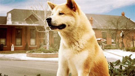 Hachi: A Dog's Tale | Full Movie | Movies Anywhere