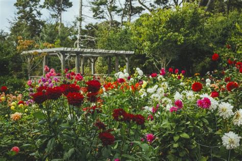 Spring Blooms and Inspiring Seascapes on the Mendocino Coast | CABBI