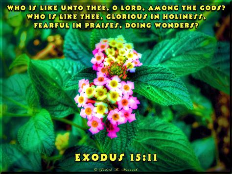 Exodus 15:11. Who is like You, Lord? | King james bible, Spiritual ...