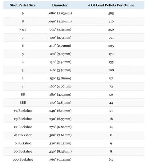 Shotgun Gauges Explained: 10 vs 12 vs 16 vs 20 vs 28 vs 410