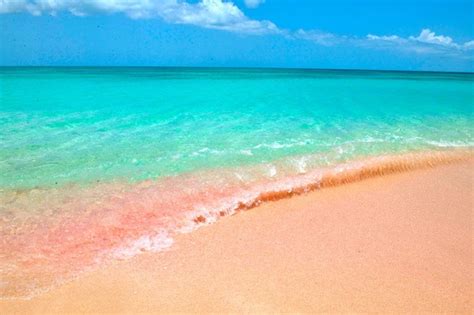 Crete - 2 Greek beaches among the most beautiful pink beaches in the world | ellines.com