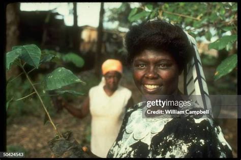 856 Wangari Maathai Photos & High Res Pictures - Getty Images