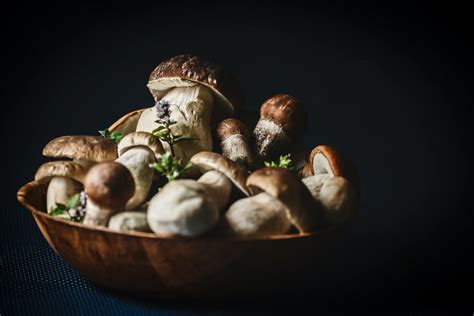 Porcini Mushroom Recipes – 5 Great Ways to Cook Them - Mushroom Site