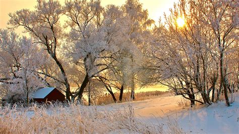 Splendid Winter Daybreak, warm, house, sun, lovely, snow, trees, sky ...