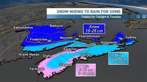 Parts of Nova Scotia could see up to 25 cm of snow on New Year's Day | CBC News