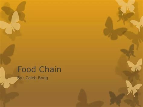 PPT - Food Chain PowerPoint Presentation, free download - ID:2818682